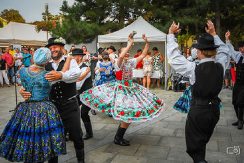 Vinobranie - 06.09.2024